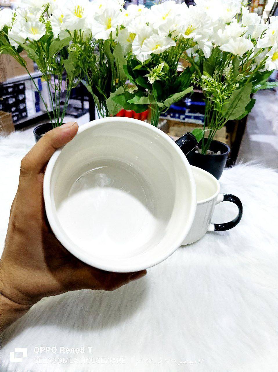 557769575_3796278197340788_2261626838959100842_n