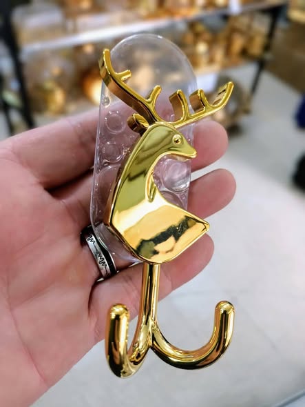 491938211_627814980251775_8650840376317511910_n