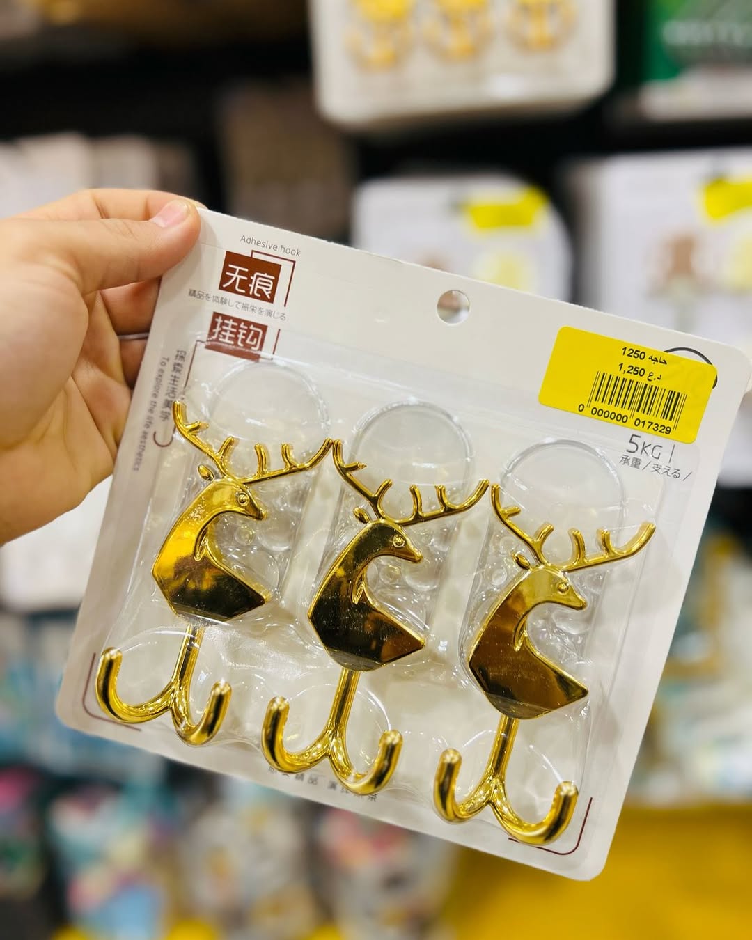 SnapInsta.to_491439339_18252448720303505_4400645384543110236_n