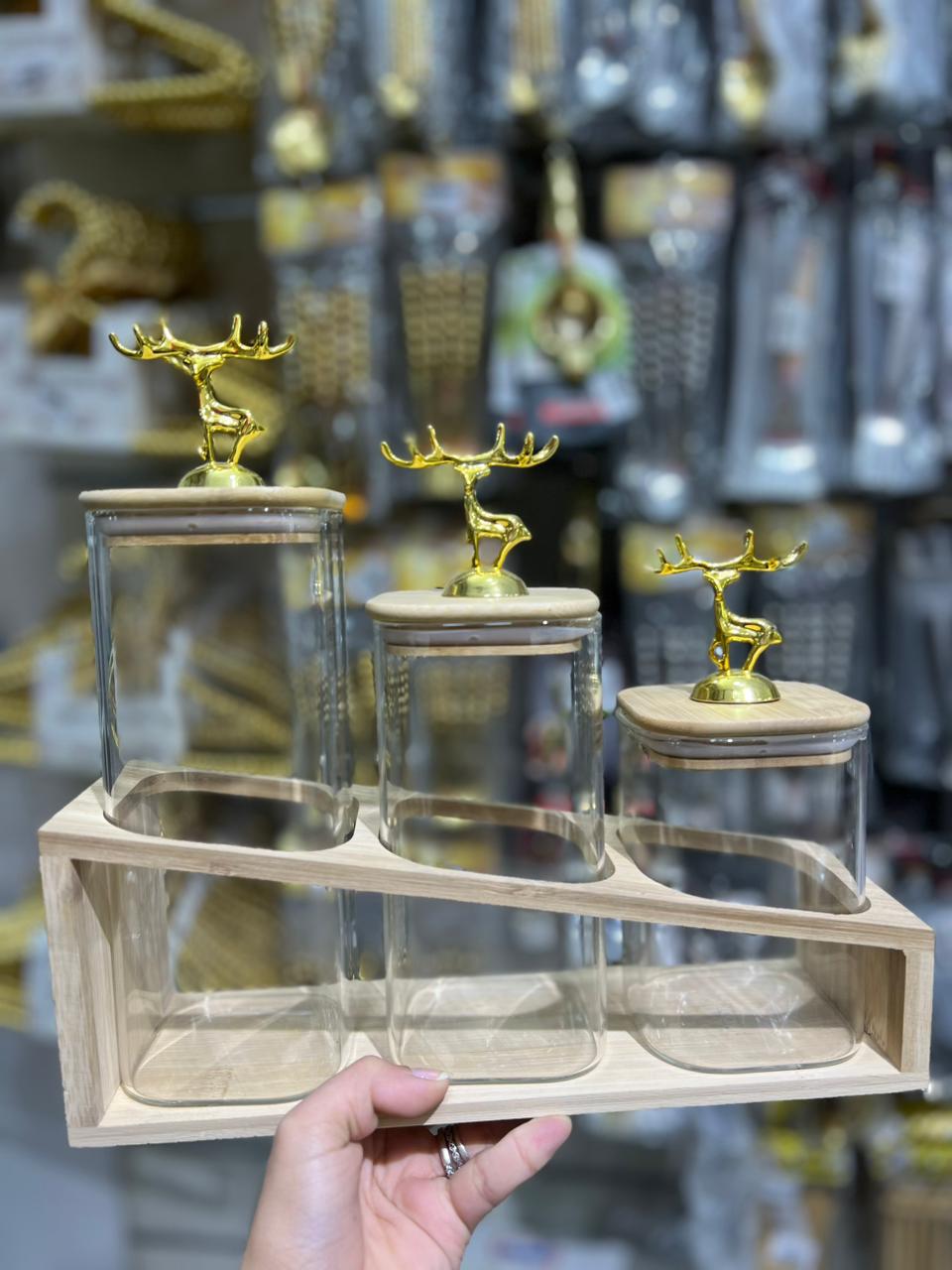 WhatsApp Image 2025-12-14 at 8.17.25 PM (3)